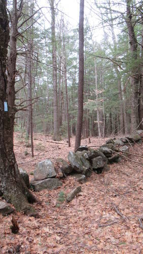 Trail crosses old stone walls