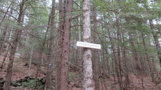 Sign near the border of Memorial Forest and Dinsmore Brook Conservation area