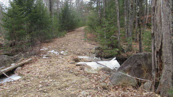 Double culvert at Dinsmore Brook Conservation Area
