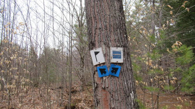 Closer view of trail blaze markers