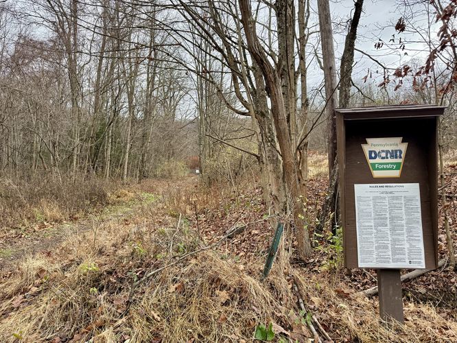 Miller Mountain northern trailhead