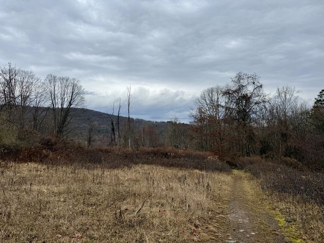 Picture 3 of Miller Mountain Pipeline Loop