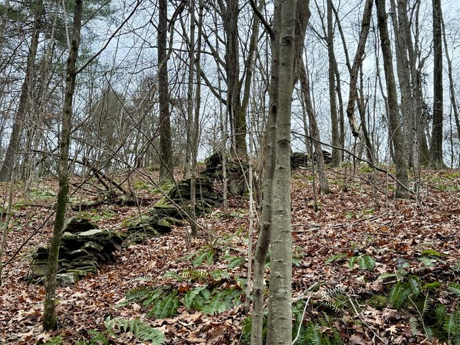 Old stone wall / property line on Miller Mountain