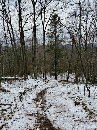 Trail turned to a mix of dirt and a thin layer of icy snow