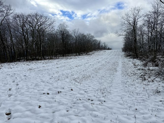 Snow-covered pipeline atop Miller Mountain