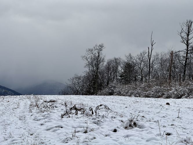 Snowy mountains in the distance with a porcupine walking the pipeline