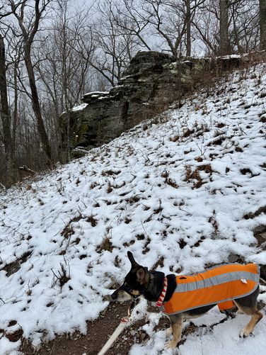 Jax on the pipeline with rock ledges behind