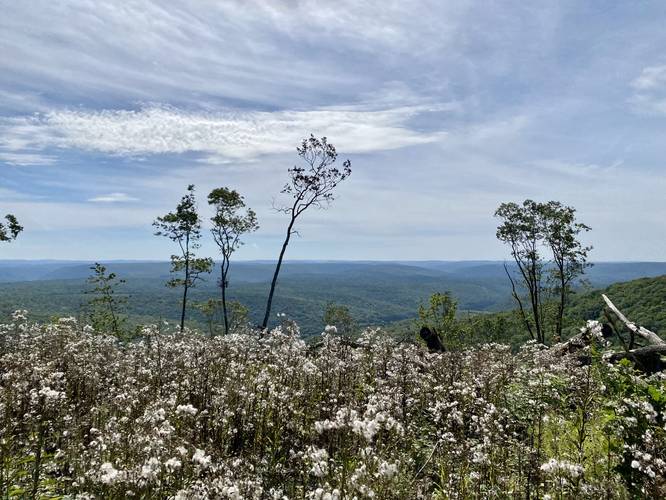 Grand View on Cedar Mountain