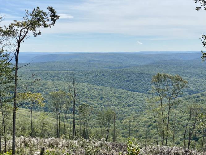 Grand View on Cedar Mountain