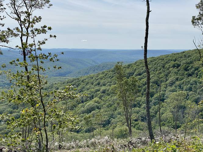 Grand View on Cedar Mountain