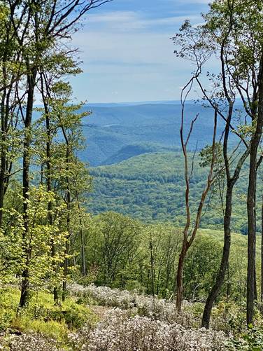 Grand View on Cedar Mountain