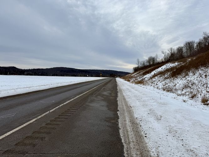 Mills Creek Bog Hike - Mills Creek Bog Hike album