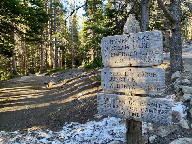 Junction for Alberta Falls (trail sign)