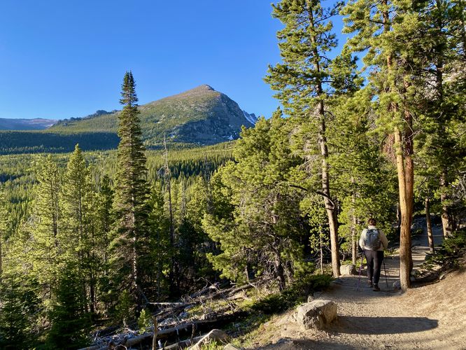 View of Half Mountain and the trail