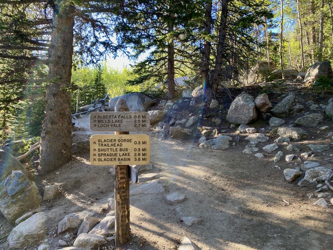Alberta Falls junction trail sign