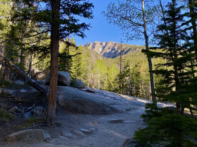 View along the trail