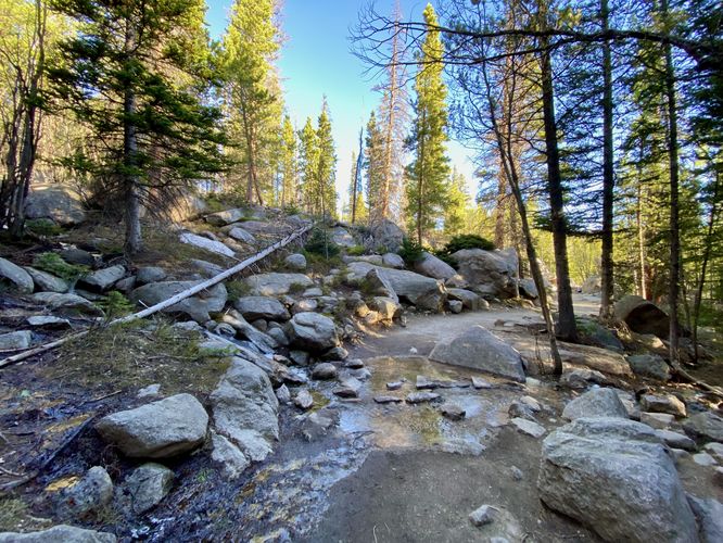 Trail becomes a bit more rocky