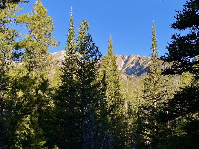 Mountain views peek through the trees