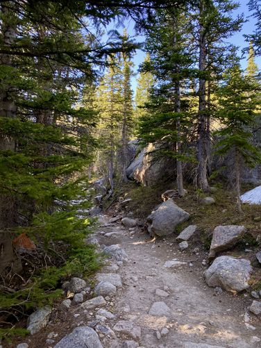 Trail becomes more rocky after Alberta Falls