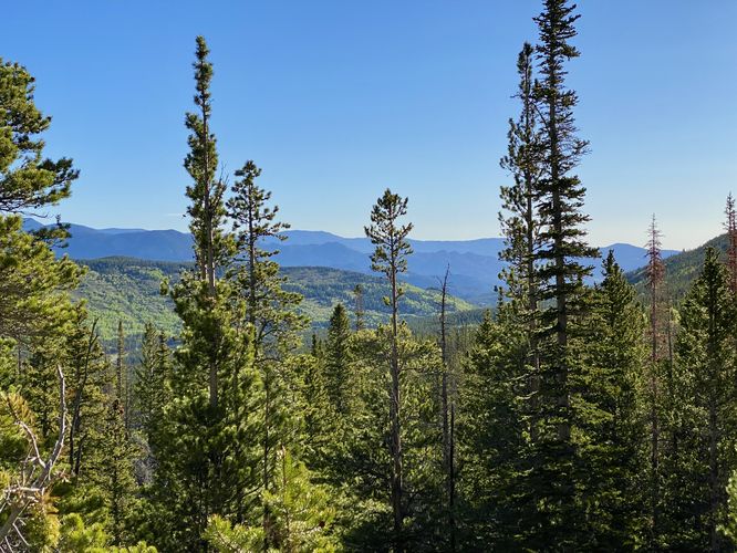Mountain view through the trees