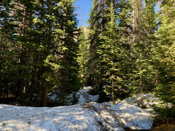 Snowfields define parts of the Glacier Gorge Trail enroute to Mills Lake