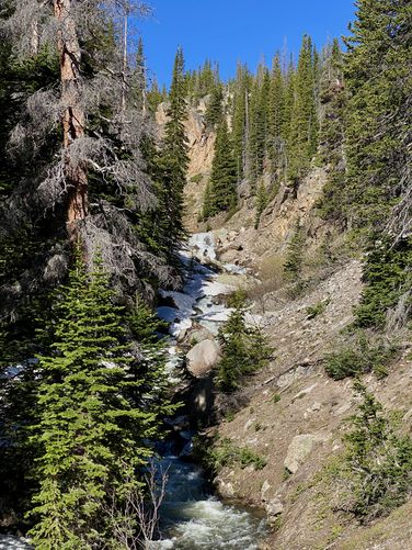 Many cascades in Icy Brook