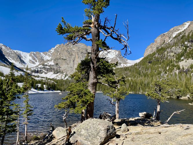 The Loch as seen from the evergreen forest