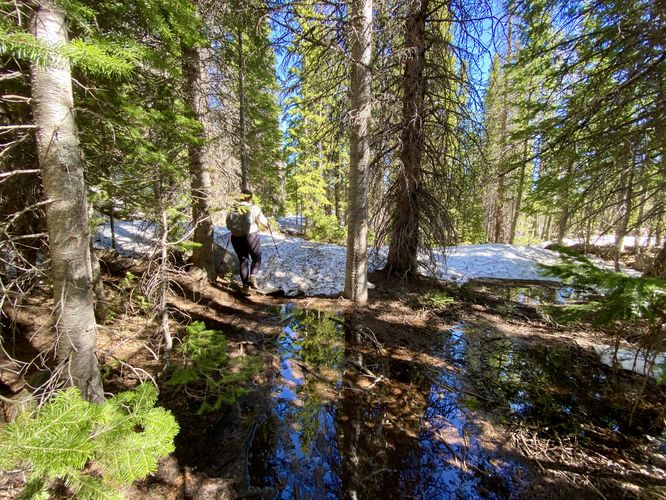 Muddy section of the Lake Haiyaha Trail