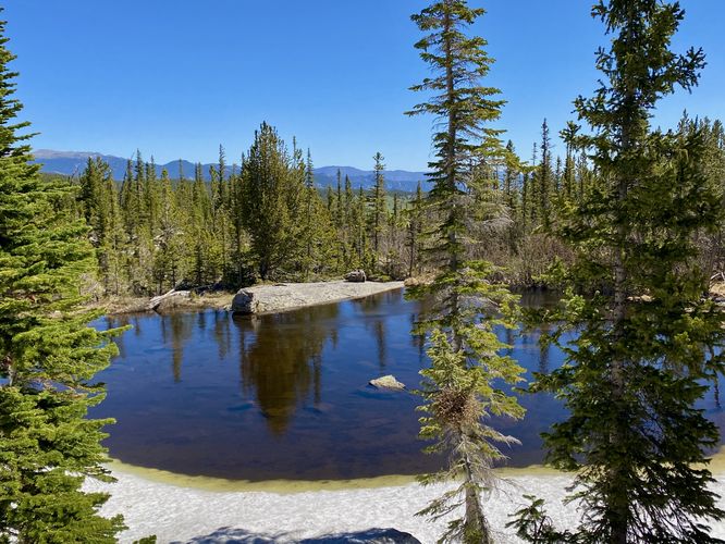 Backcountry pond along Lake Haiyaha Trail