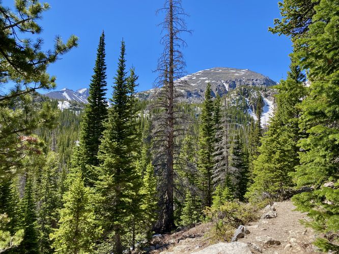 View of Half Mountain and Thatchtop Mountain