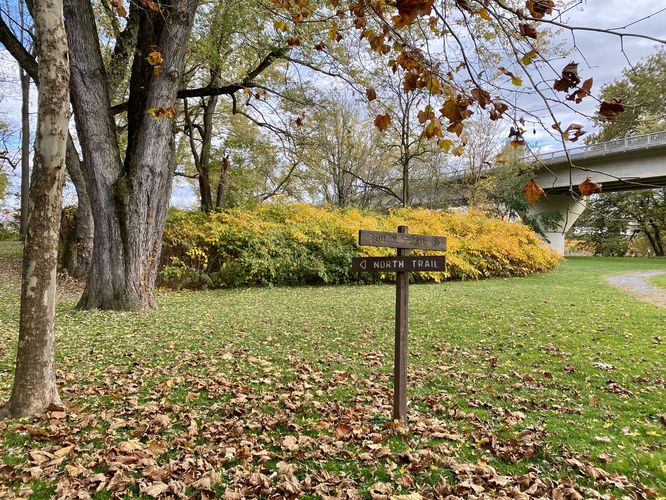 Junction for the South Trail