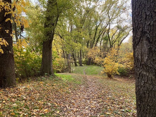 Hiking the South Trail at Milton State Park