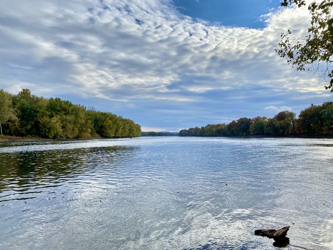 Island Point view of the West Branch Susquehanna River