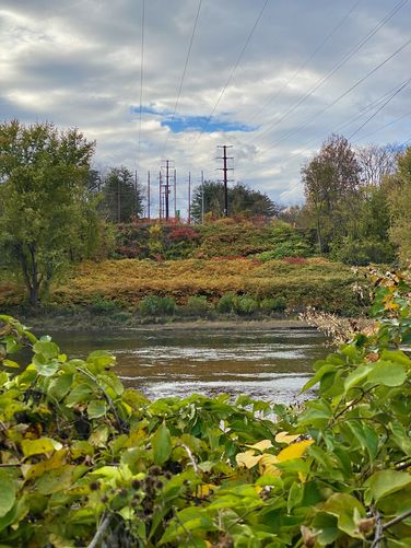 Foliage and the West Branch Susquehanna River