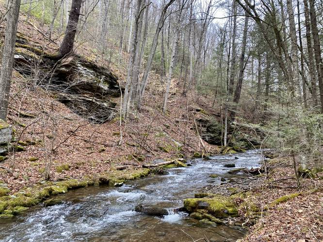 Picture 3 of Mine Hole Run Falls