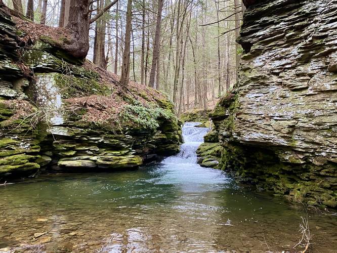 Mine Hole Run Falls (8-foot tall multi-tier waterfall)