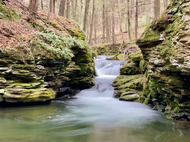 Mine Hole Run Falls (8-foot tall multi-tier waterfall)