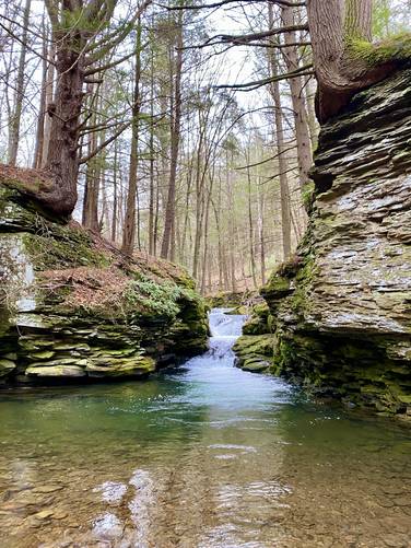 Mine Hole Run Falls (8-foot tall multi-tier waterfall)