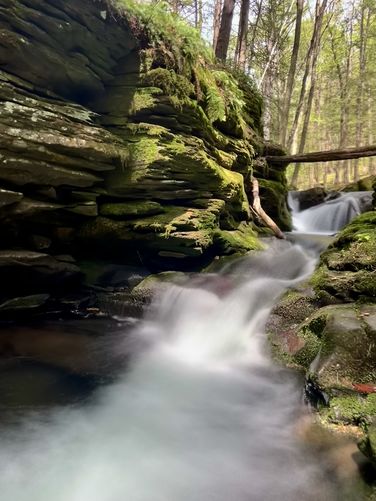 Picture 3 of Mine Hole Run May2024
