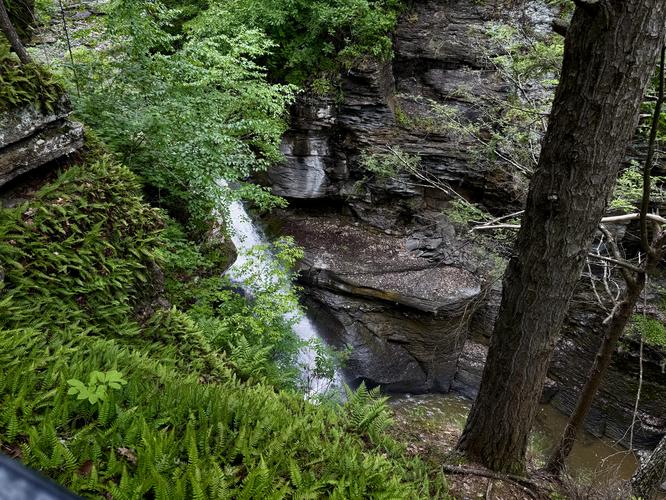 Picture 7 of Mine Kill Falls Hike