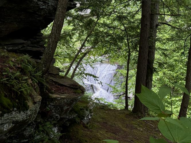 Obstructed view of Upper Mine Kill Falls