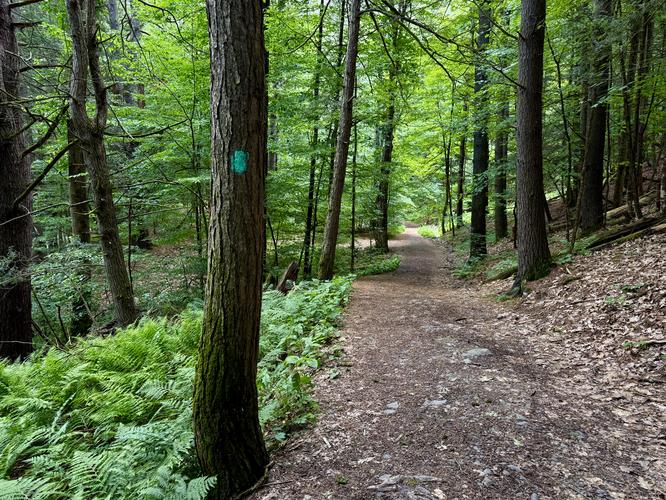 Turquoise/teal blazes of the Long Path