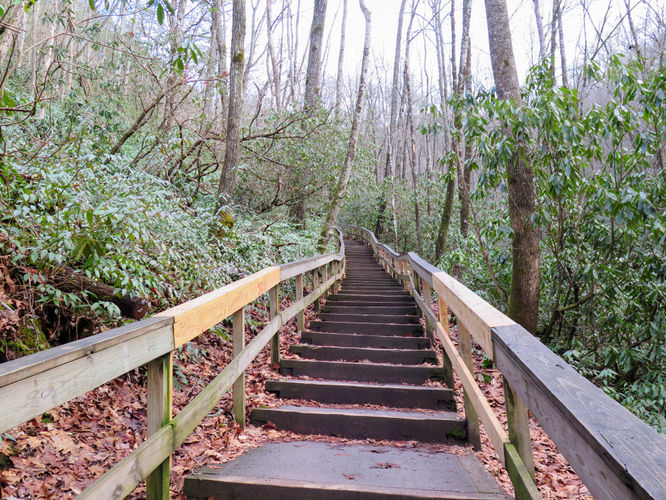 Picture 4 of Mingo Falls Hike 011417