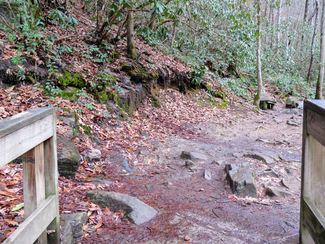 Picture 5 of Mingo Falls Hike 011417