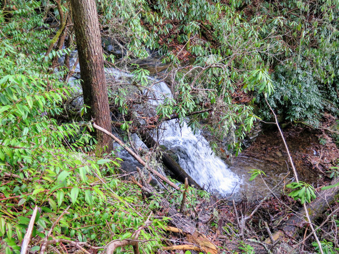 Picture 10 of Mingo Falls Hike 011417