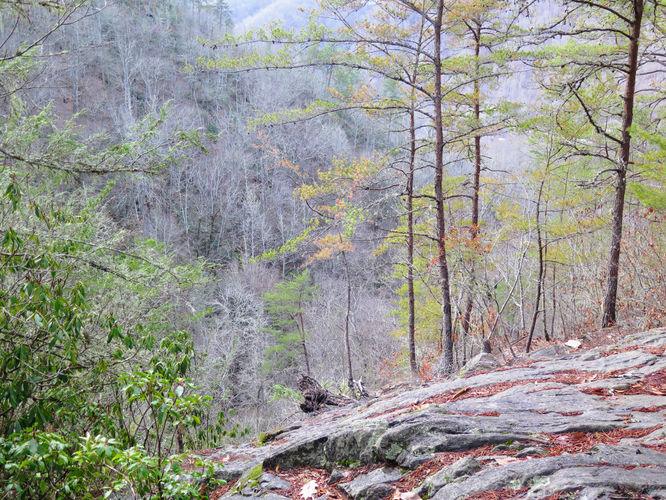 Picture 13 of Mingo Falls Hike 011417
