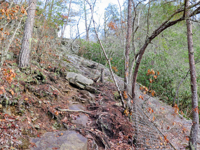 Picture 14 of Mingo Falls Hike 011417