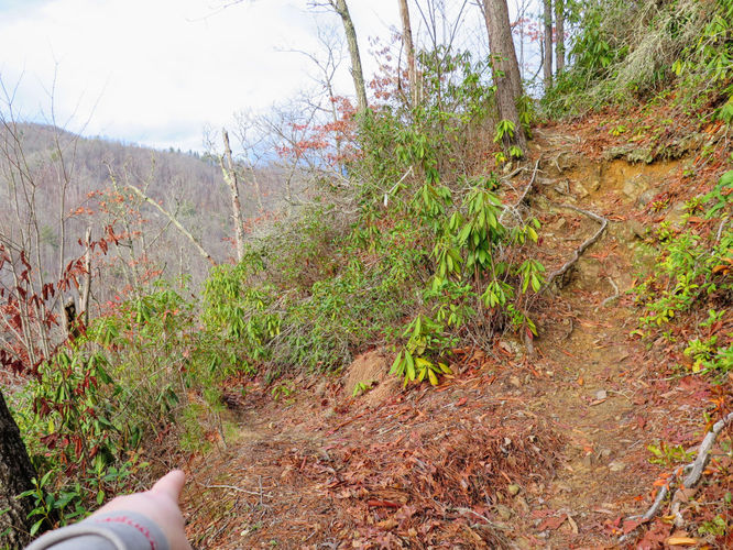Picture 15 of Mingo Falls Hike 011417
