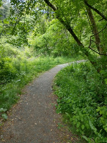 Trail is wide and packed gravel