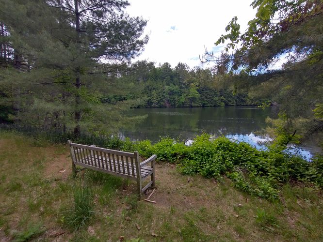 The last bench where the gravel section of the trail ends